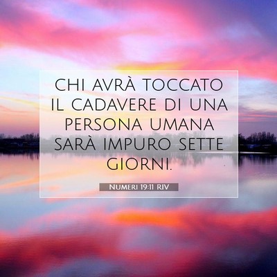 Picture 07 - Numeri 19:11 RIV - chi avrà toccato il cadavere di una persona - Bible Verse Picture