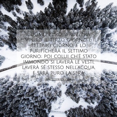 Picture 07 - Numeri 19:19 RIV - L’uomo puro spruzzerà l’impuro il terzo - Bible Verse Picture