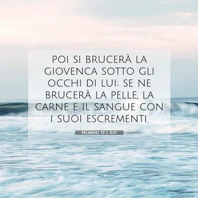 Picture 07 - Numeri 19:5 RIV - poi si brucerà la giovenca sotto gli occhi di - Bible Verse Picture