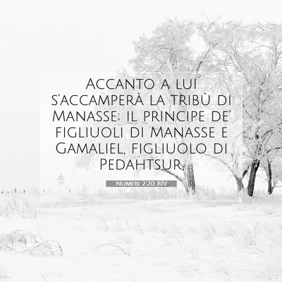 Picture 07 - Numeri 2:20 RIV - Accanto a lui s’accamperà la tribù di - Bible Verse Picture