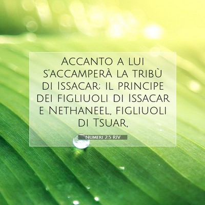 Picture 07 - Numeri 2:5 RIV - Accanto a lui s’accamperà la tribù di - Bible Verse Picture