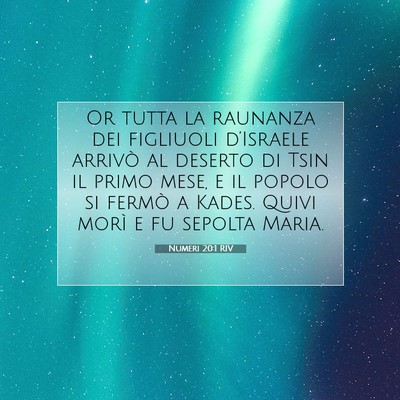 Picture 07 - Numeri 20:1 RIV - Or tutta la raunanza dei figliuoli d’Israele - Bible Verse Picture