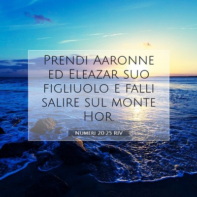 Picture 07 - Numeri 20:25 RIV - Prendi Aaronne ed Eleazar suo figliuolo e falli - Bible Verse Picture