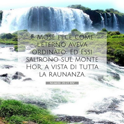 Picture 07 - Numeri 20:27 RIV - E Mosè fece come l’Eterno aveva ordinato; ed - Bible Verse Picture