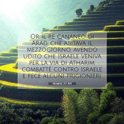 Picture 07 - Numeri 21:1 RIV - Or il re cananeo di Arad, che abitava il - Bible Verse Picture