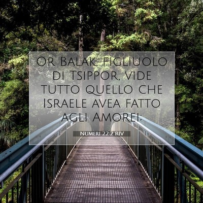 Picture 07 - Numeri 22:2 RIV - Or Balak, figliuolo di Tsippor, vide tutto quello - Bible Verse Picture