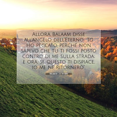 Picture 07 - Numeri 22:34 RIV - Allora Balaam disse all’angelo dell’Eterno: - Bible Verse Picture
