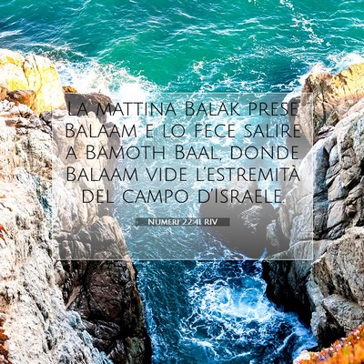 Picture 07 - Numeri 22:41 RIV - La mattina Balak prese Balaam e lo fece salire a - Bible Verse Picture