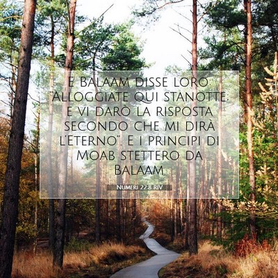 Picture 07 - Numeri 22:8 RIV - E Balaam disse loro: “Alloggiate qui stanotte; - Bible Verse Picture