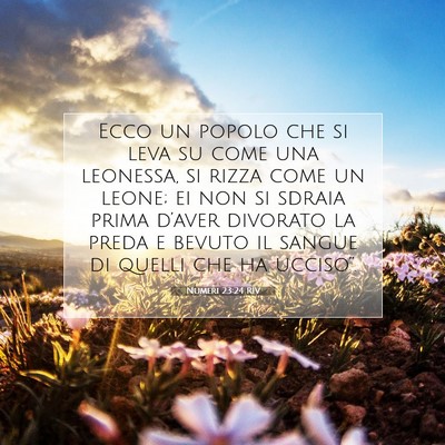 Picture 07 - Numeri 23:24 RIV - Ecco un popolo che si leva su come una leonessa, - Bible Verse Picture
