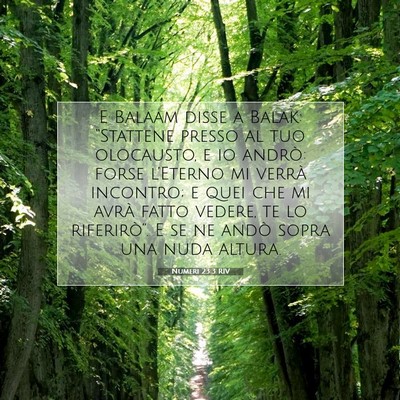 Picture 07 - Numeri 23:3 RIV - E Balaam disse a Balak: “Stattene presso al tuo - Bible Verse Picture