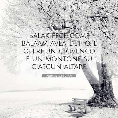 Picture 07 - Numeri 23:30 RIV - Balak fece come Balaam avea detto, e offrì un - Bible Verse Picture