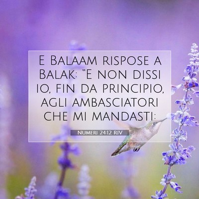 Picture 07 - Numeri 24:12 RIV - E Balaam rispose a Balak: “E non dissi io, fin - Bible Verse Picture