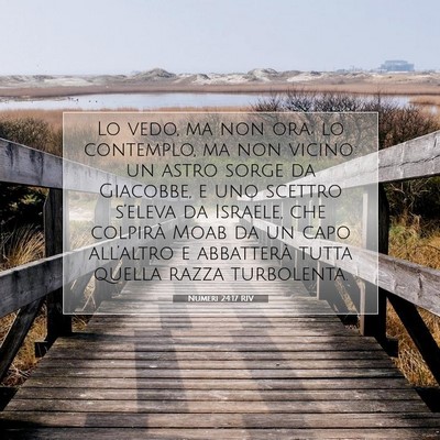 Picture 07 - Numeri 24:17 RIV - Lo vedo, ma non ora; lo contemplo, ma non vicino: - Bible Verse Picture