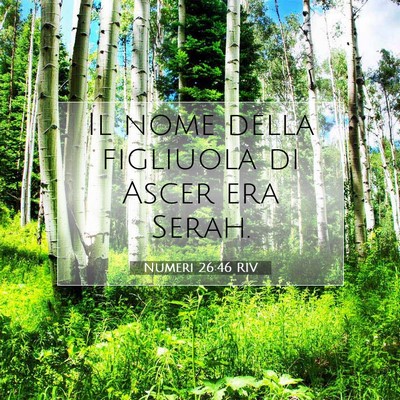 Picture 07 - Numeri 26:46 RIV - Il nome della figliuola di Ascer era - Bible Verse Picture