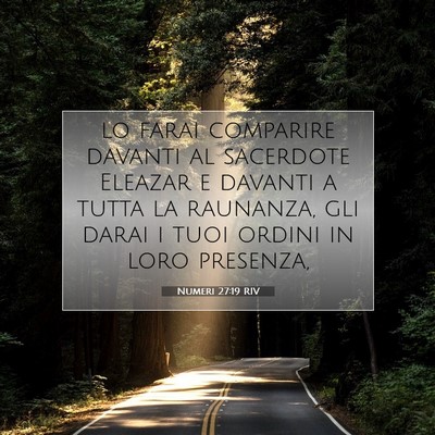 Picture 07 - Numeri 27:19 RIV - lo farai comparire davanti al sacerdote Eleazar e - Bible Verse Picture