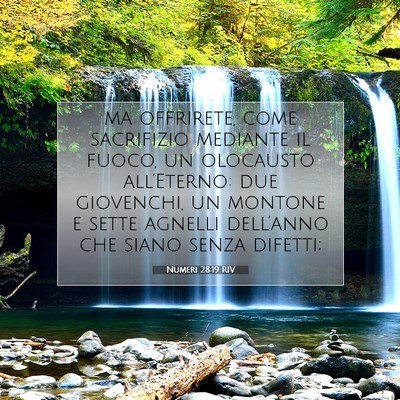 Picture 07 - Numeri 28:19 RIV - ma offrirete, come sacrifizio mediante il fuoco, - Bible Verse Picture