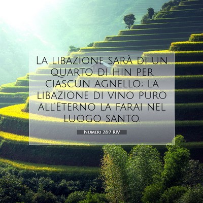 Picture 07 - Numeri 28:7 RIV - La libazione sarà di un quarto di hin per - Bible Verse Picture