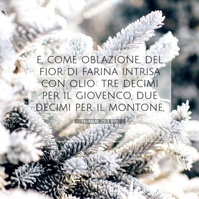 Picture 07 - Numeri 29:3 RIV - e, come oblazione, del fior di farina intrisa con - Bible Verse Picture
