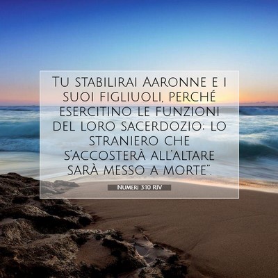 Picture 07 - Numeri 3:10 RIV - Tu stabilirai Aaronne e i suoi figliuoli, perché - Bible Verse Picture