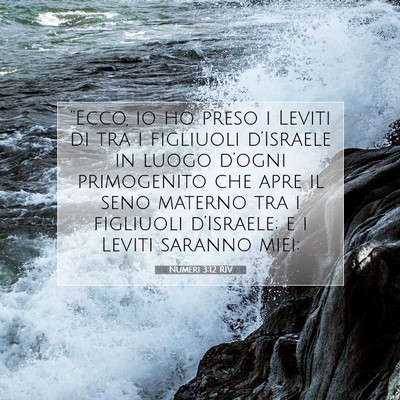 Picture 07 - Numeri 3:12 RIV - “Ecco, io ho preso i Leviti di tra i figliuoli - Bible Verse Picture