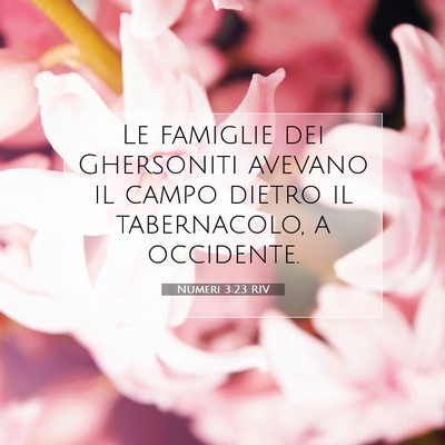 Picture 07 - Numeri 3:23 RIV - Le famiglie dei Ghersoniti avevano il campo - Bible Verse Picture