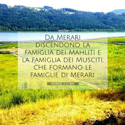Picture 07 - Numeri 3:33 RIV - Da Merari discendono la famiglia dei Mahliti e la - Bible Verse Picture