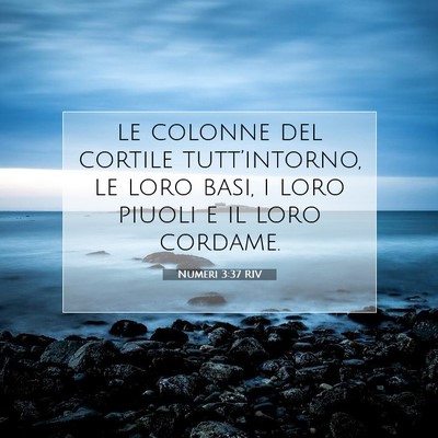 Picture 07 - Numeri 3:37 RIV - le colonne del cortile tutt’intorno, le loro - Bible Verse Picture