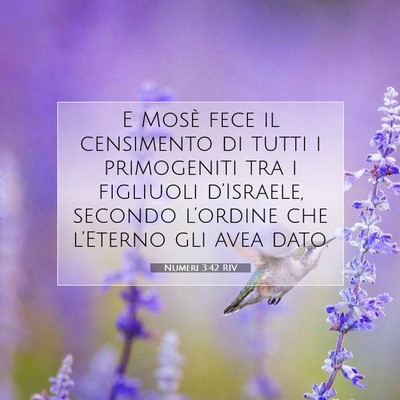 Picture 07 - Numeri 3:42 RIV - E Mosè fece il censimento di tutti i primogeniti - Bible Verse Picture