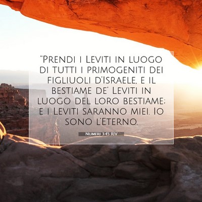 Picture 07 - Numeri 3:45 RIV - “Prendi i Leviti in luogo di tutti i - Bible Verse Picture