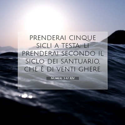 Picture 07 - Numeri 3:47 RIV - prenderai cinque sicli a testa; li prenderai - Bible Verse Picture