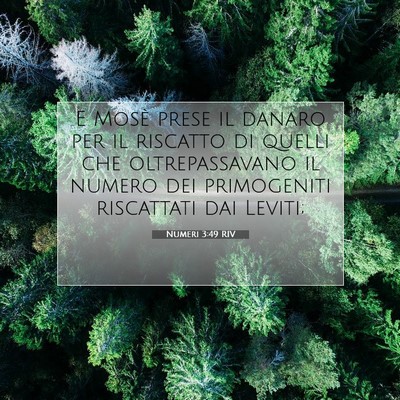 Picture 07 - Numeri 3:49 RIV - E Mosè prese il danaro per il riscatto di quelli - Bible Verse Picture