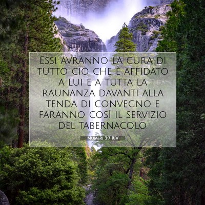 Picture 07 - Numeri 3:7 RIV - Essi avranno la cura di tutto ciò che è - Bible Verse Picture