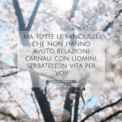 Picture 07 - Numeri 31:18 RIV - ma tutte le fanciulle che non hanno avuto - Bible Verse Picture