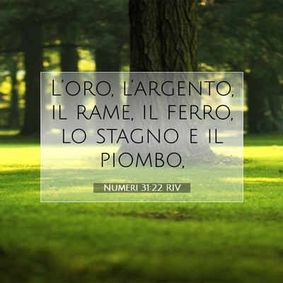 Picture 07 - Numeri 31:22 RIV - L’oro, l’argento, il rame, il ferro, lo - Bible Verse Picture