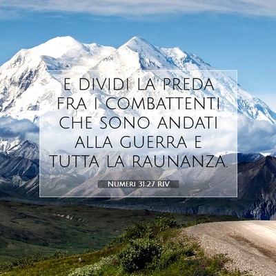 Picture 07 - Numeri 31:27 RIV - e dividi la preda fra i combattenti che sono - Bible Verse Picture