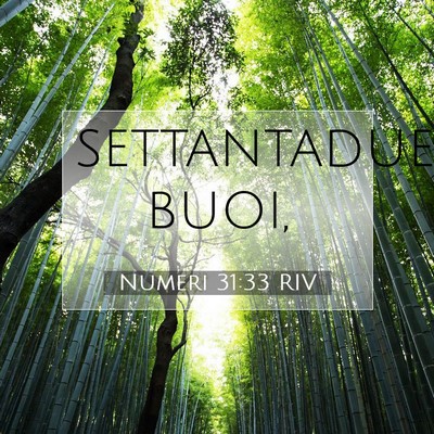 Picture 07 - Numeri 31:33 RIV - settantaduemila - Bible Verse Picture