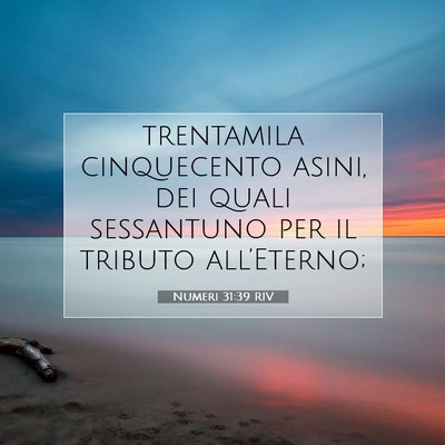 Picture 07 - Numeri 31:39 RIV - trentamila cinquecento asini, dei quali - Bible Verse Picture