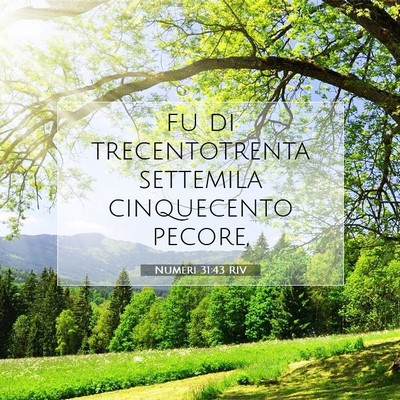 Picture 07 - Numeri 31:43 RIV - fu di trecentotrenta settemila cinquecento - Bible Verse Picture