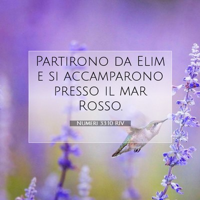 Picture 07 - Numeri 33:10 RIV - Partirono da Elim e si accamparono presso il mar - Bible Verse Picture