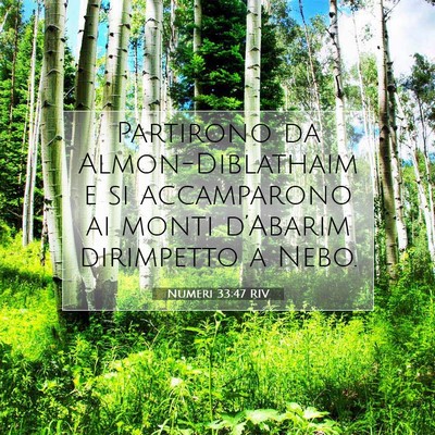Picture 07 - Numeri 33:47 RIV - Partirono da Almon-Diblathaim e si accamparono ai - Bible Verse Picture