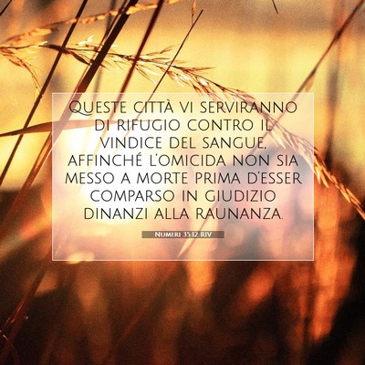 Picture 07 - Numeri 35:12 RIV - Queste città vi serviranno di rifugio contro il - Bible Verse Picture