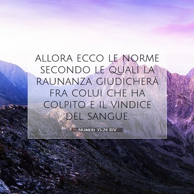 Picture 07 - Numeri 35:24 RIV - allora ecco le norme secondo le quali la raunanza - Bible Verse Picture
