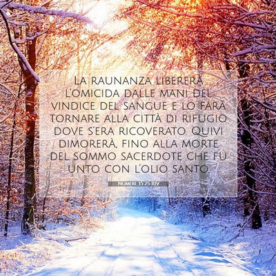 Picture 07 - Numeri 35:25 RIV - La raunanza libererà l’omicida dalle mani del - Bible Verse Picture