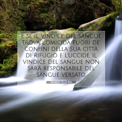 Picture 07 - Numeri 35:27 RIV - e se il vindice del sangue trova l’omicida - Bible Verse Picture