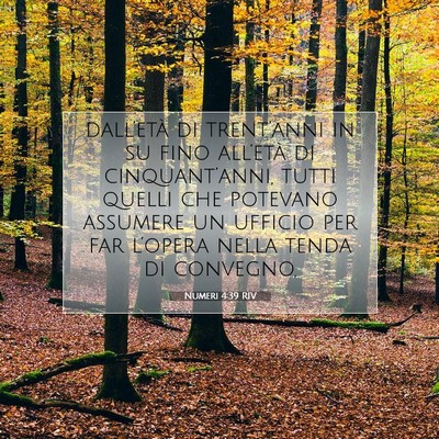 Picture 07 - Numeri 4:39 RIV - dall’età di trent’anni in su fino all’età - Bible Verse Picture