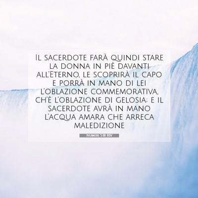 Picture 07 - Numeri 5:18 RIV - Il sacerdote farà quindi stare la donna in piè - Bible Verse Picture