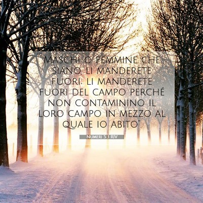 Picture 07 - Numeri 5:3 RIV - Maschi o femmine che siano, li manderete fuori; - Bible Verse Picture