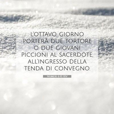 Picture 07 - Numeri 6:10 RIV - l’ottavo giorno porterà due tortore o due - Bible Verse Picture