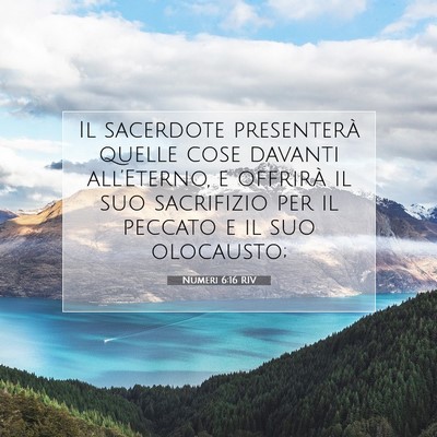 Picture 07 - Numeri 6:16 RIV - Il sacerdote presenterà quelle cose davanti - Bible Verse Picture